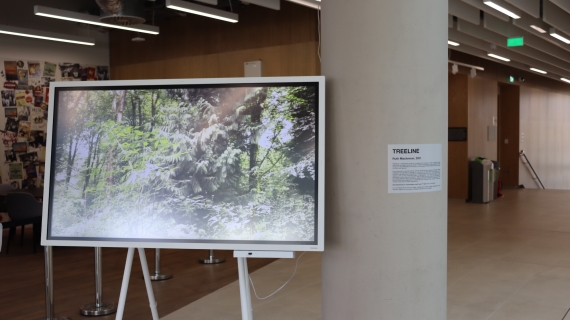 Ruth Maclennan, Treeline (2021), Advanced Research Centre, University of Glasgow, April 2023.  Installation view, Kevin Leomo.