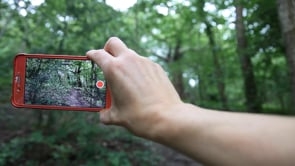 How to film your Treeline footage