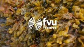 FVU Frames: Soojin Chang, 'BXBY' (2022), Jerwood/FVU Awards 2022