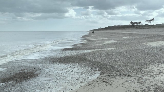 'The Sea is an Edge and an Ending' (trailer), Lavinia Greenlaw, 2016