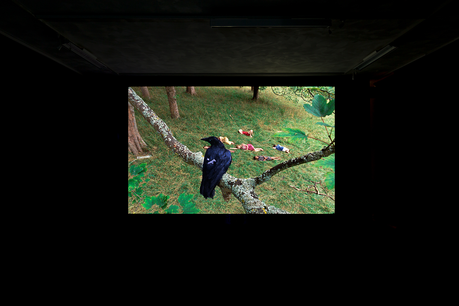 USE Installation view My Broken Animal Frans Hals Museum NL 2019 Credit Charlott Markus