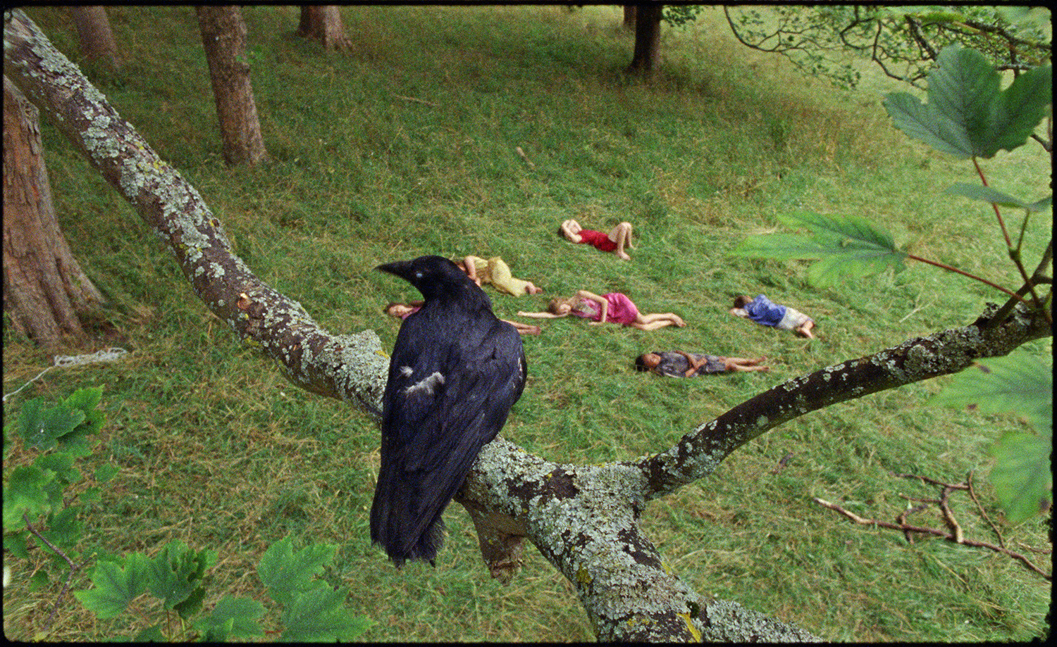 USE Marianna Simnett The Bird Game 2019 film still Courtesy the artist FVU the Rothschild Foundation and Frans Hals Museum3