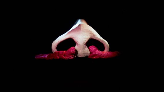 Blood and The Udder, Install at FACT Liverpool
