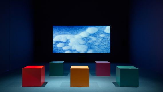 No Ordinary Protest, Install at Tokyo Photographic Museum