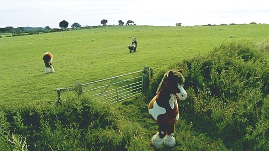BW Horse Dog 4 1