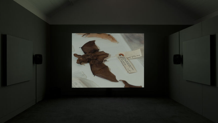 Maeve Brennan Listening in the Dark Install04