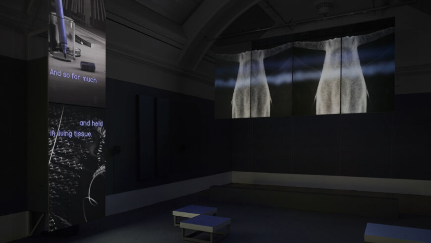 SLOW DANS Installation view A LONG MEMORY The Whitworth Manchester UK 25 Oct19 01 Mar20 detail 005
