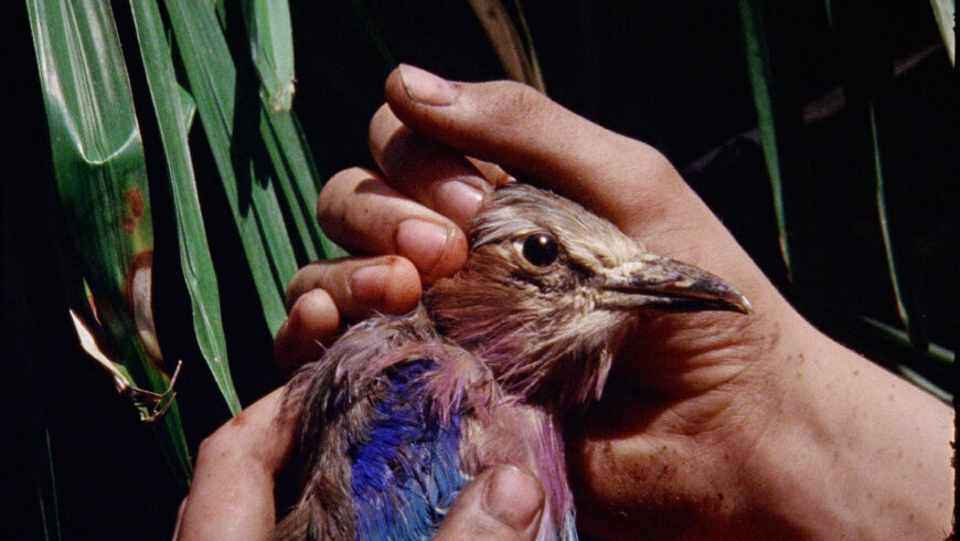 USE Marianna Simnett The Bird Game 2019 film still Courtesy the artist FVU the Rothschild Foundation and Frans Hals Museum1