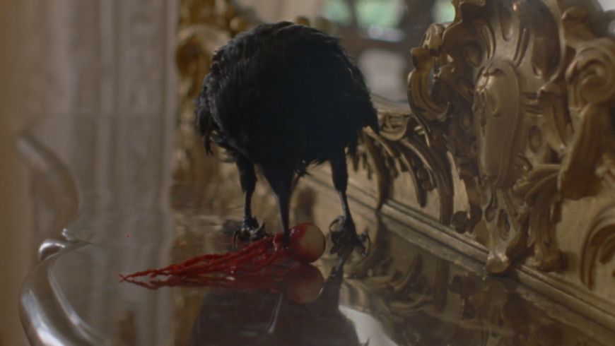 Notes on 'The Bird Game'