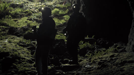 Listening in the Dark
