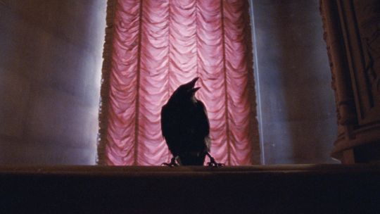 The Bird Game and Confessions of a Crow