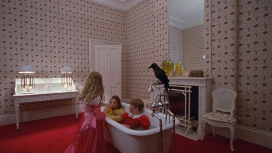 The Bird Game