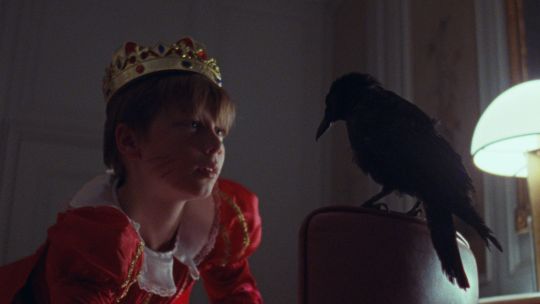 The Bird Game