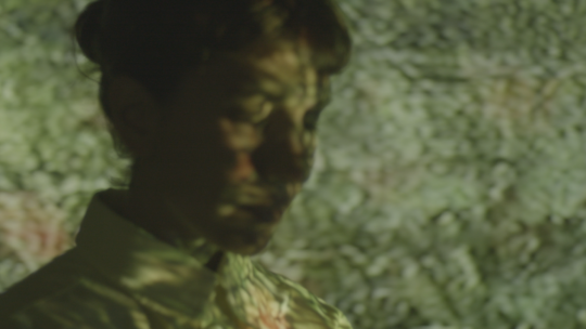absent landscapes