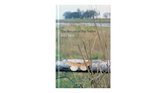 The Return of the Native